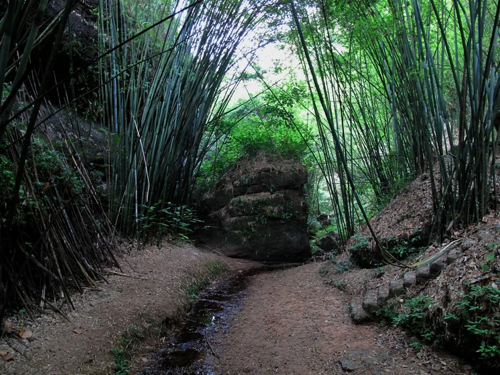 Monte Danxia — imagen de referencia