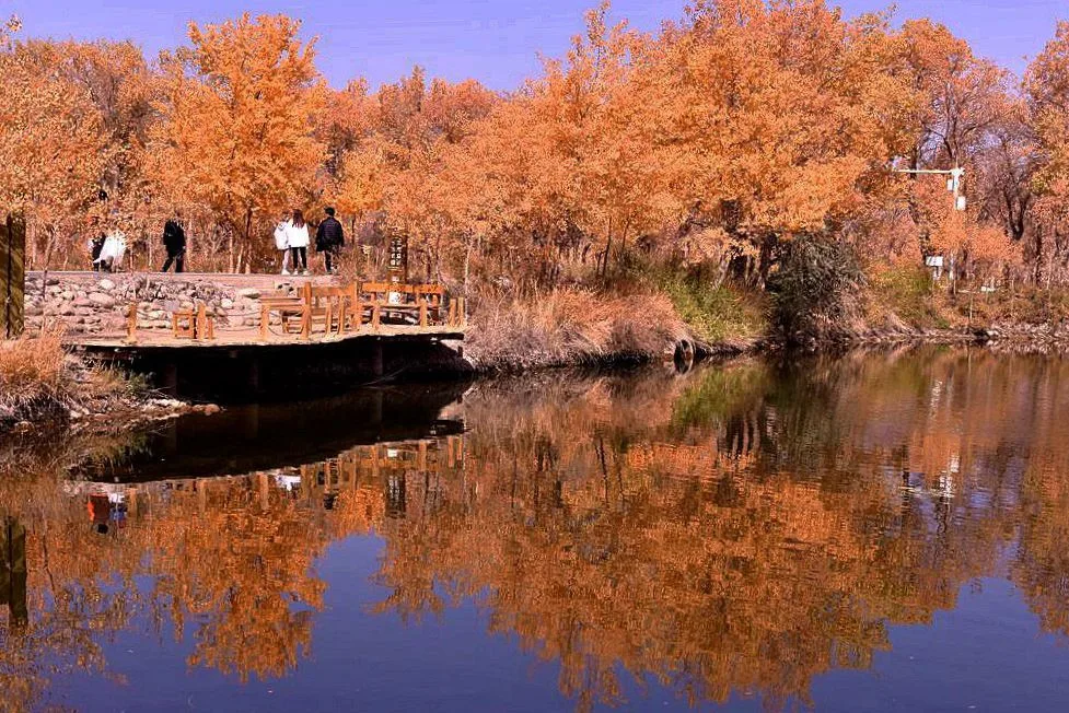 Jinhuyang — imej rujukan