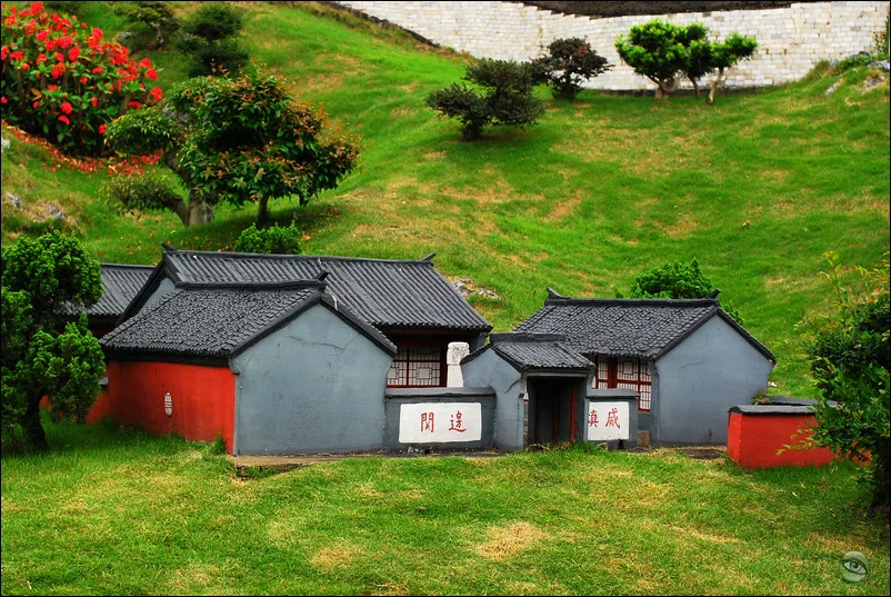 Cẩm Tú Trung Hoa — ảnh tham khảo