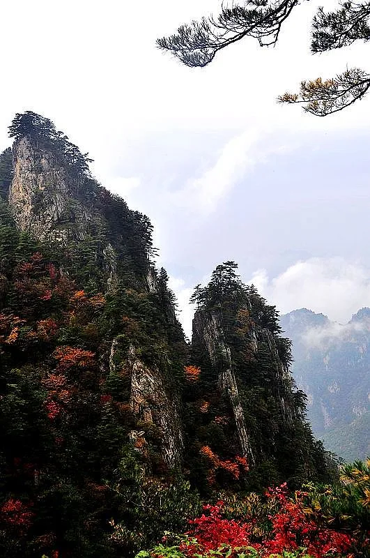 Laojieling, Xixia — image de référence