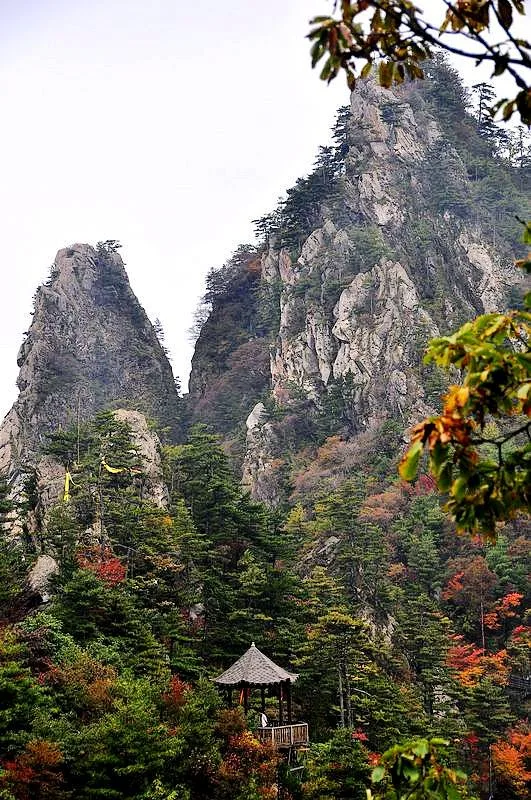 Laojieling, Xixia — image de référence