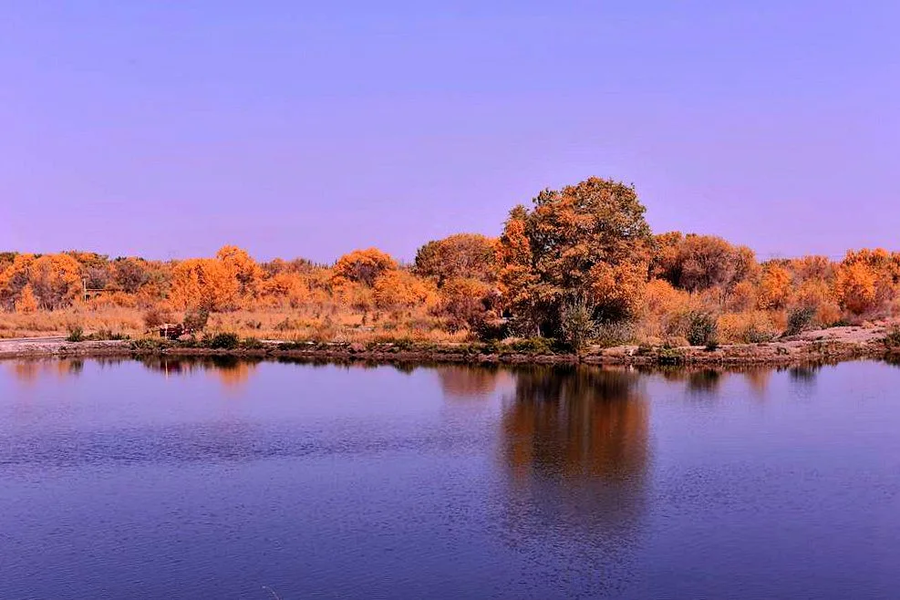 Jinhuyang — imej rujukan