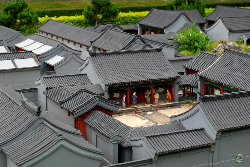 Cẩm Tú Trung Hoa — ảnh tham khảo