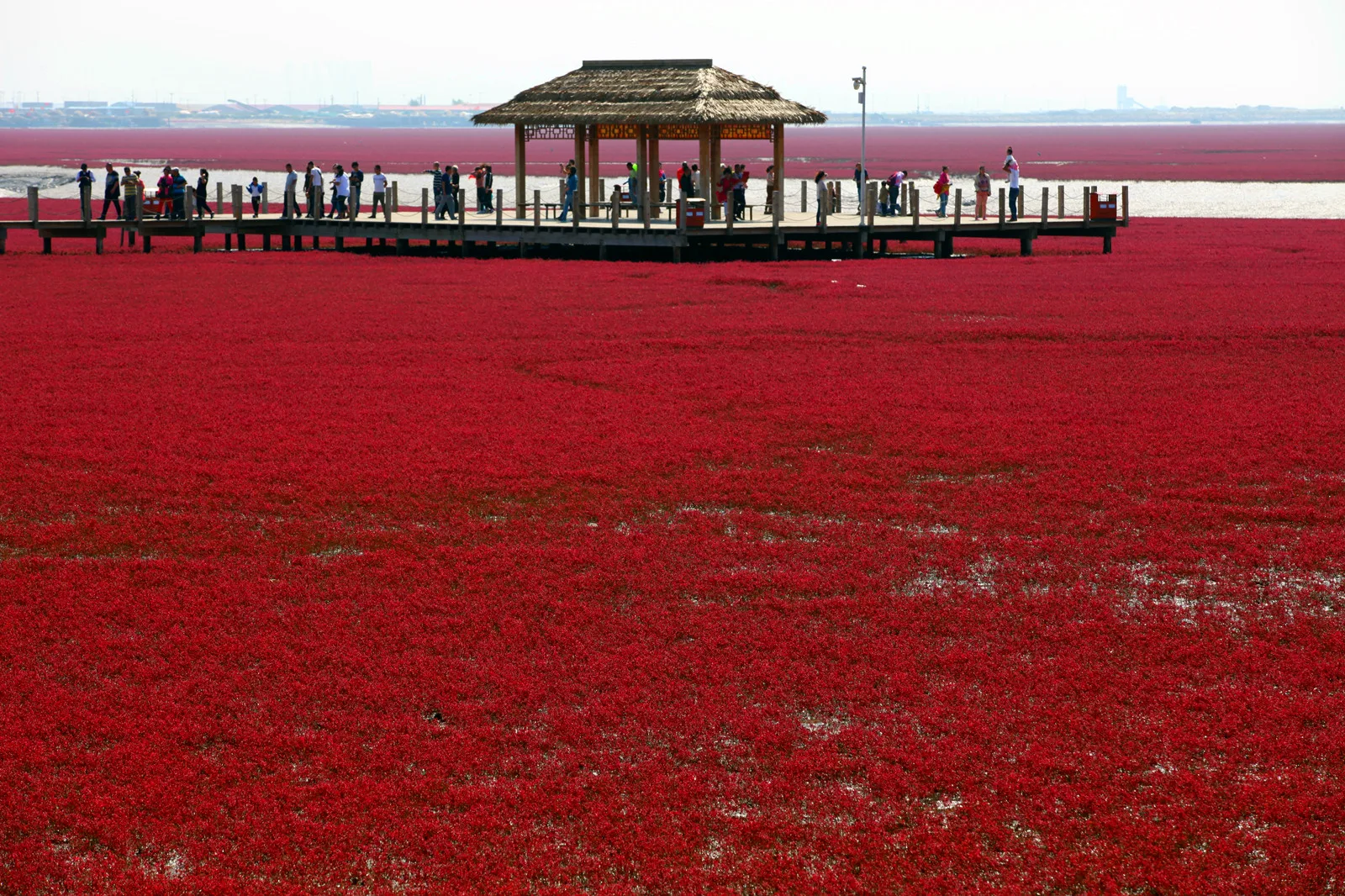 Plage rouge — image de référence