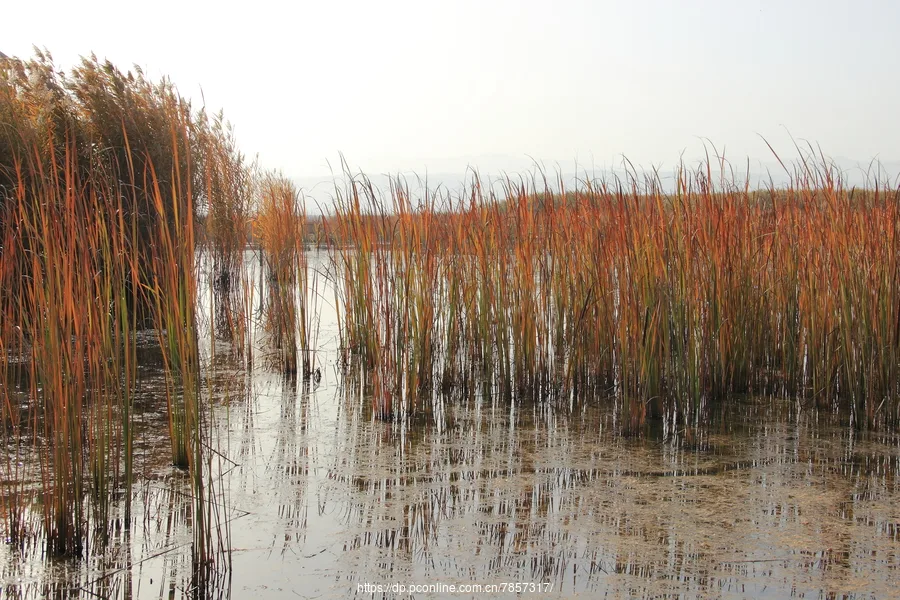 Bosten Lake — reference image