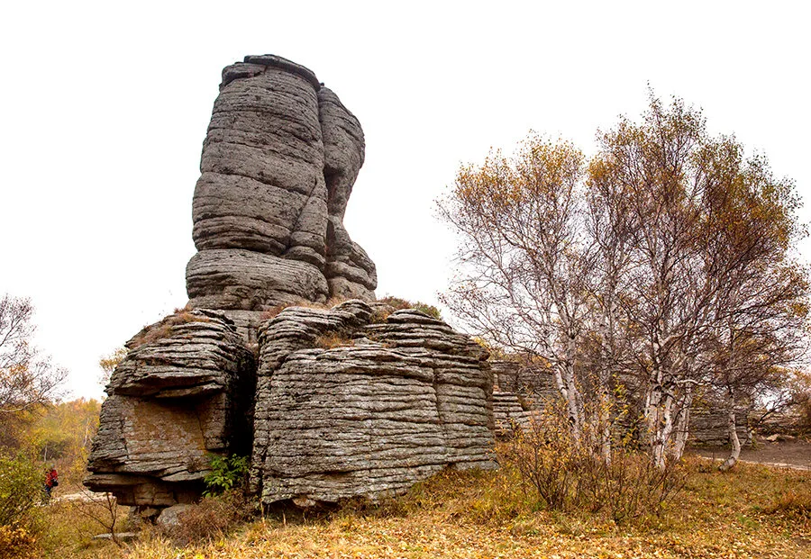 Foresta di Pietra di Asihatu — immagine di riferimento