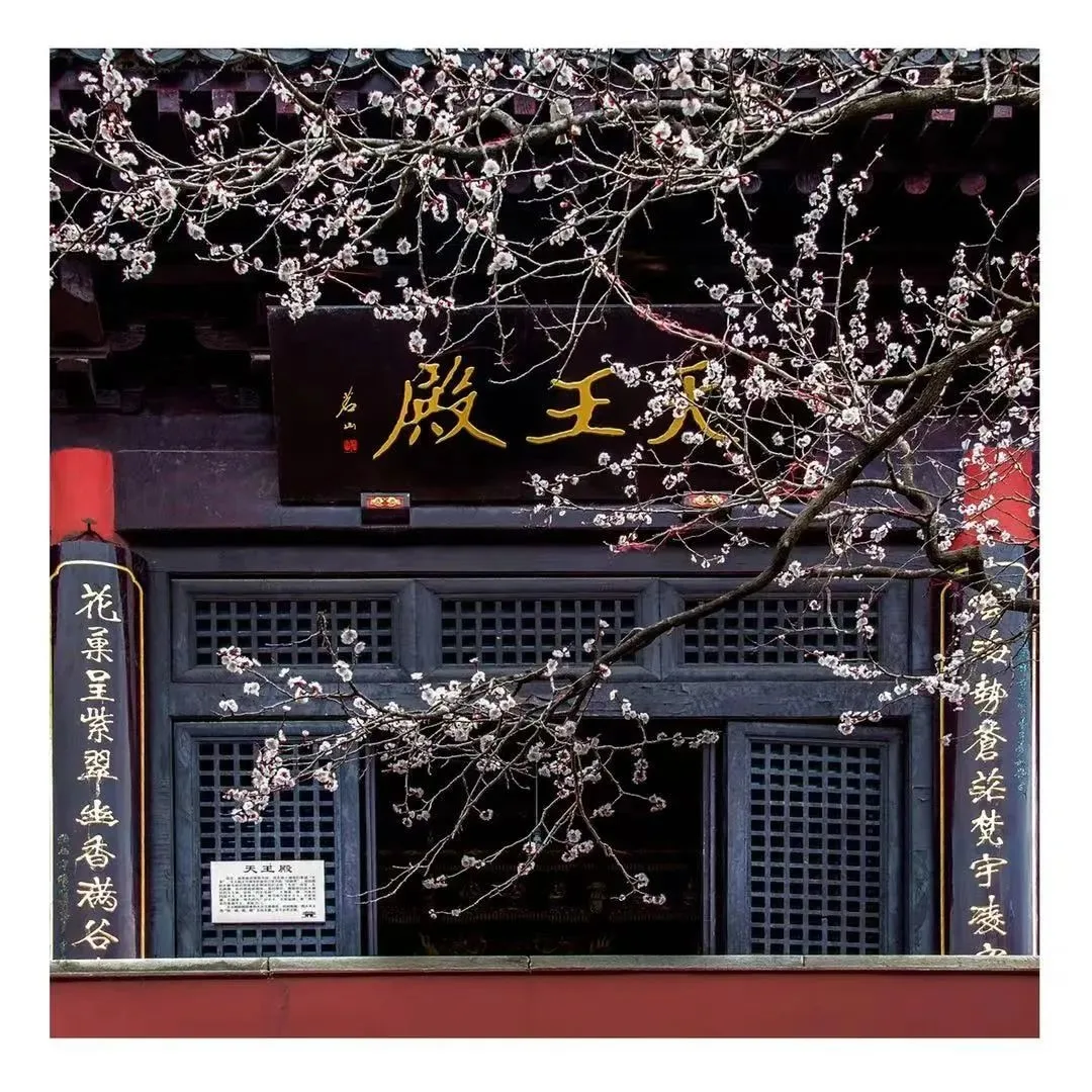 花果山の春景色『勝境に花咲き春を迎える』 — 参考画像