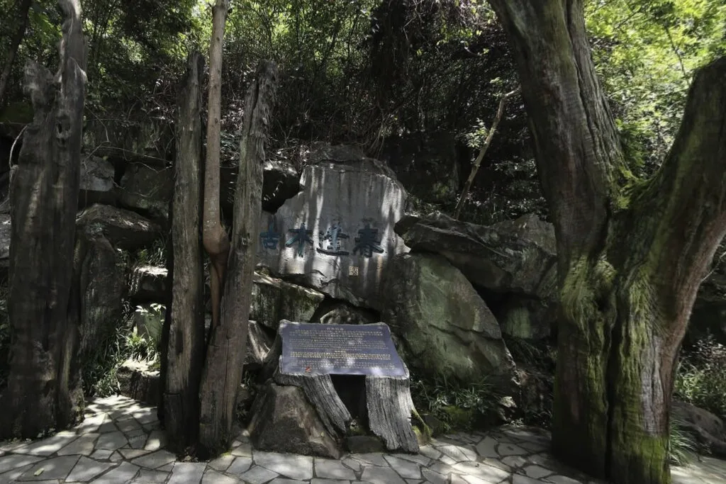 Parco buddhista del Palazzo delle Radici — immagine di riferimento