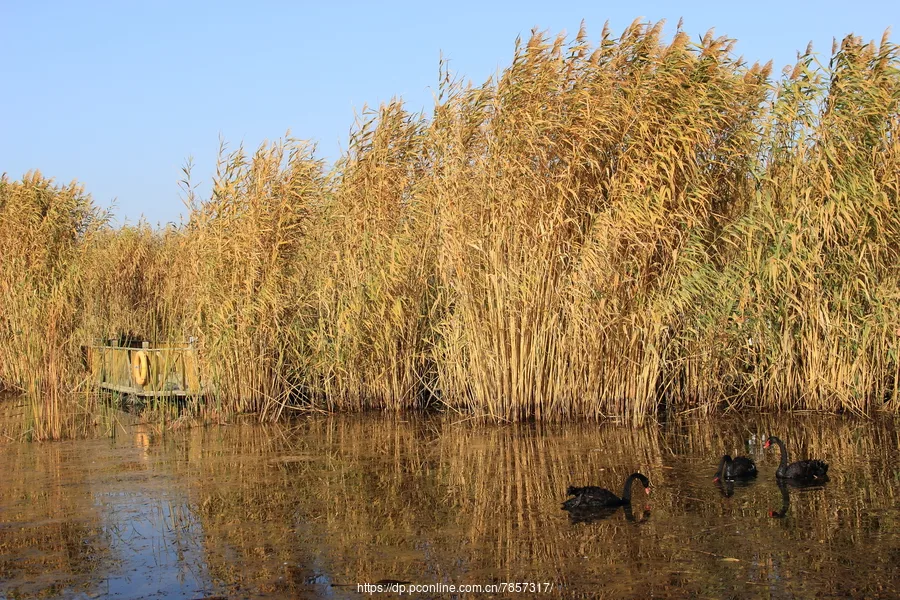 Bosten Lake — reference image