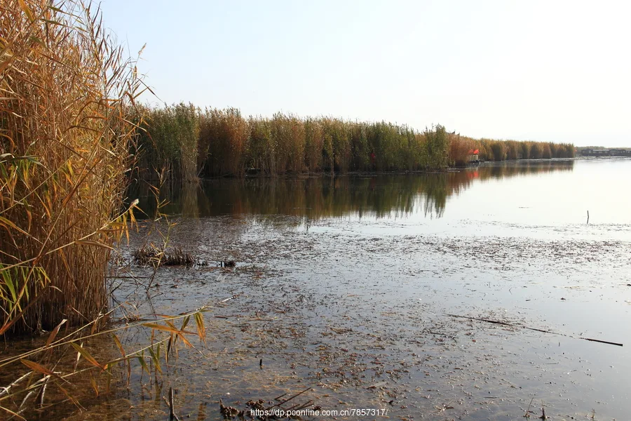Bosten Lake — reference image