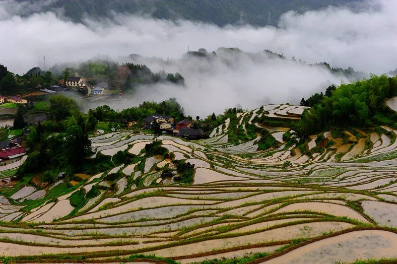 Rizières en terrasses de Yunhe — image de référence