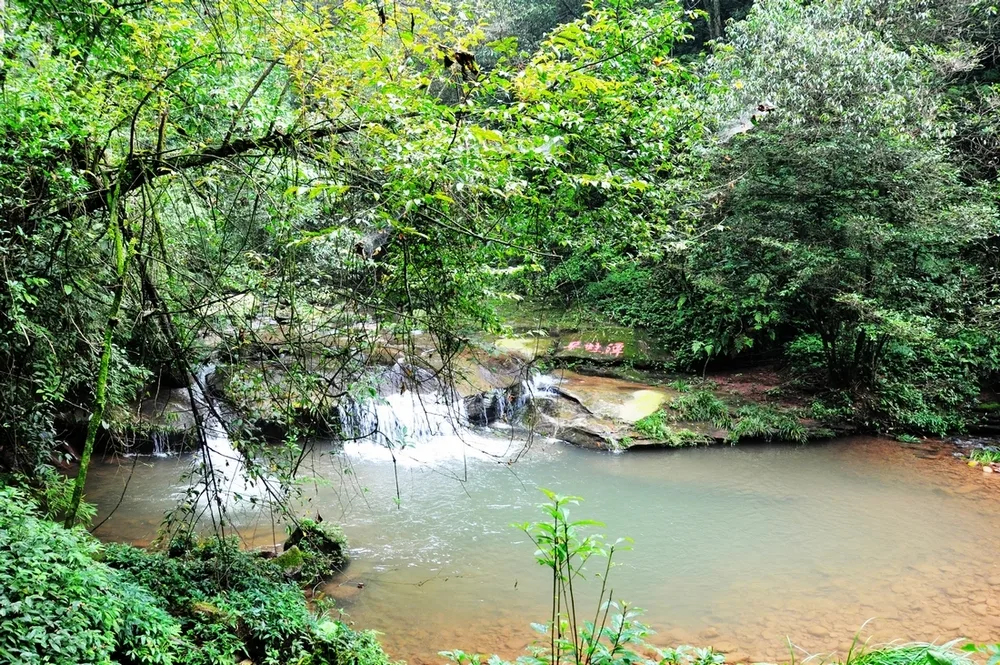 Gaung Bifeng — imej rujukan