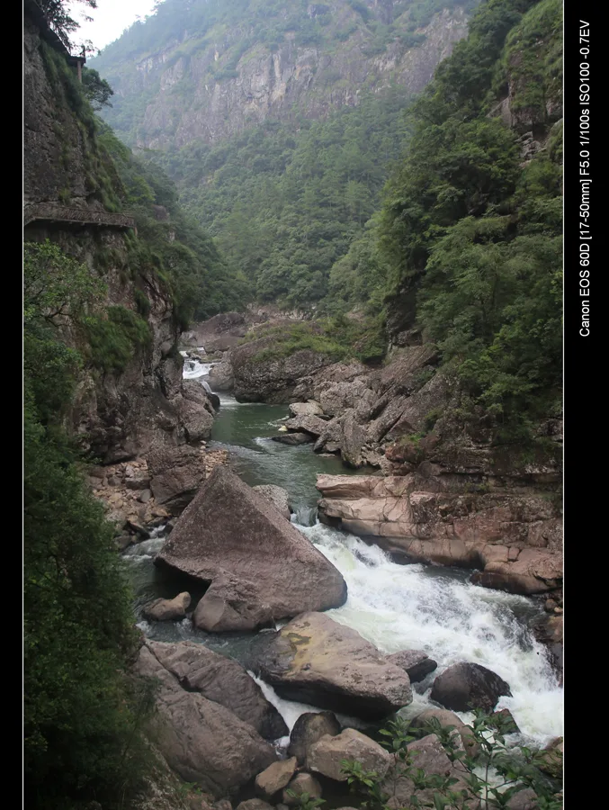 Torrente delle Anatre Mandarine — immagine di riferimento