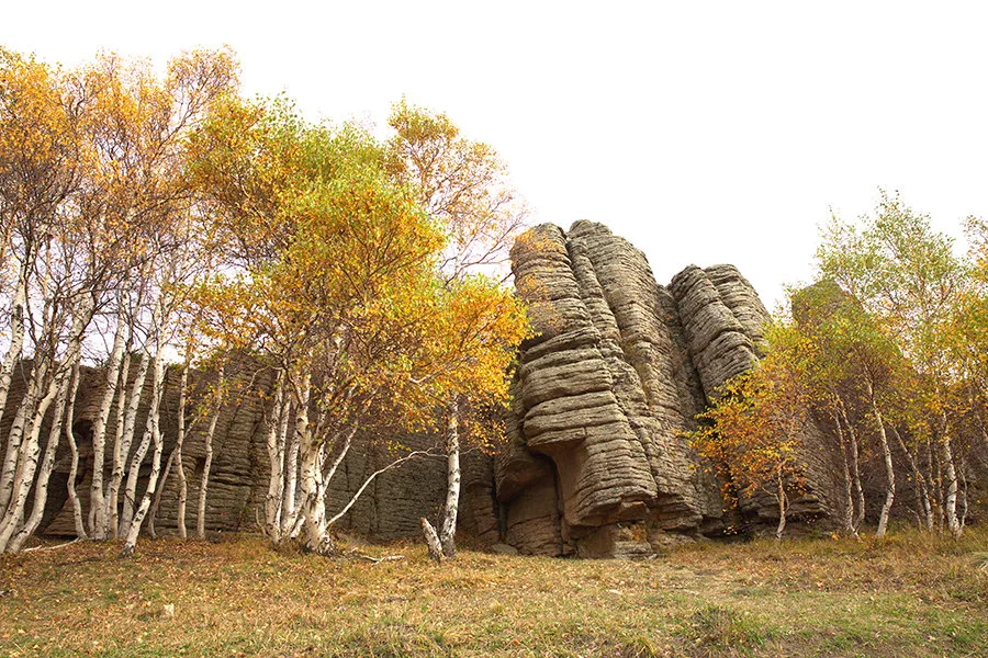 Foresta di Pietra di Asihatu — immagine di riferimento