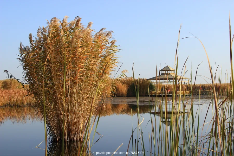 Bosten Lake — reference image