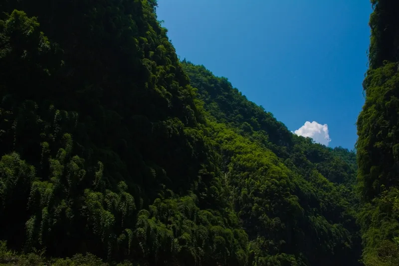 Sungai Ayi — imej rujukan
