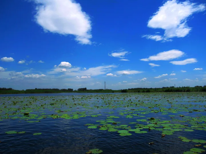 Baiyangdian — image de référence