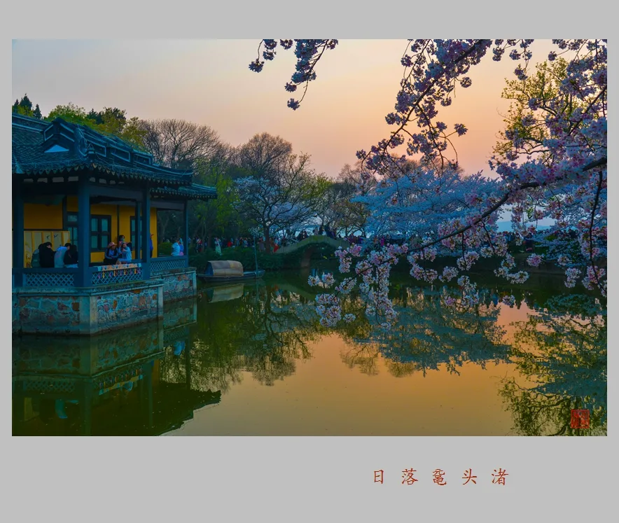 Viên Đầu Chử — ảnh tham khảo