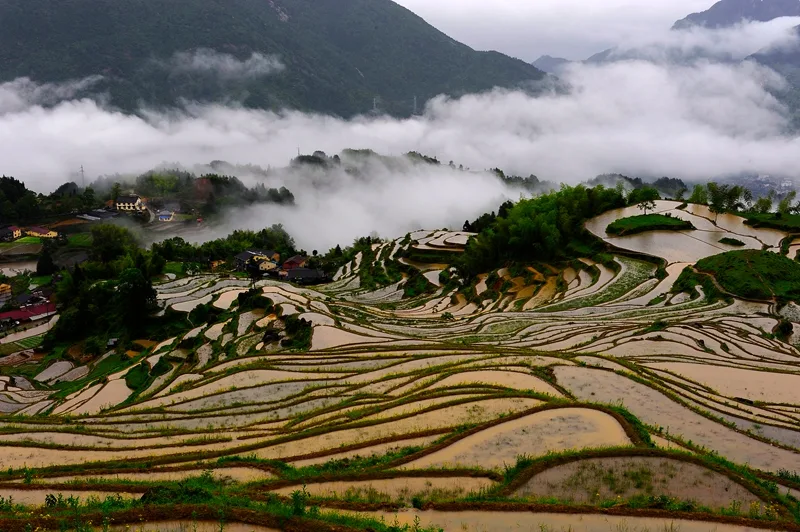 Rizières en terrasses de Yunhe — image de référence