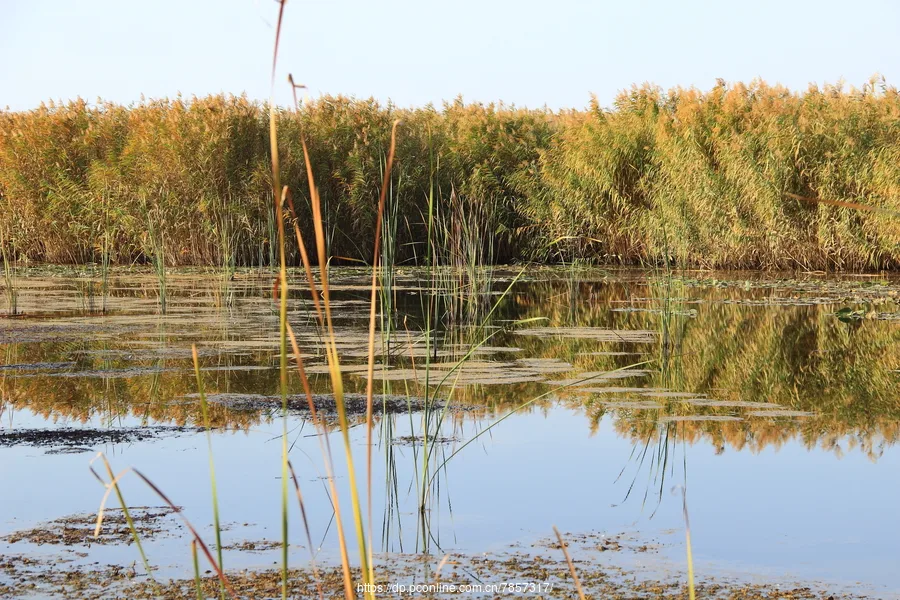 Bosten Lake — reference image