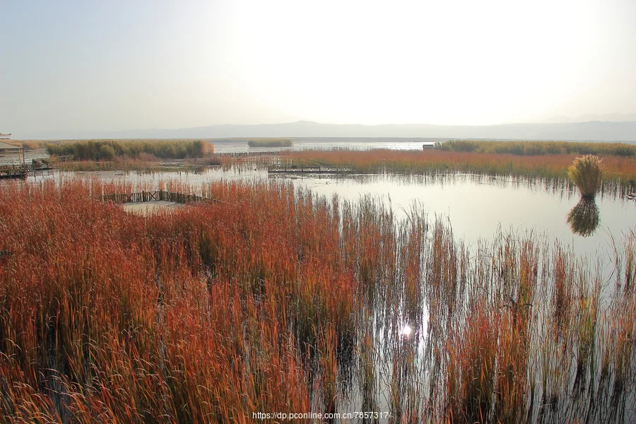 Bosten Lake — reference image