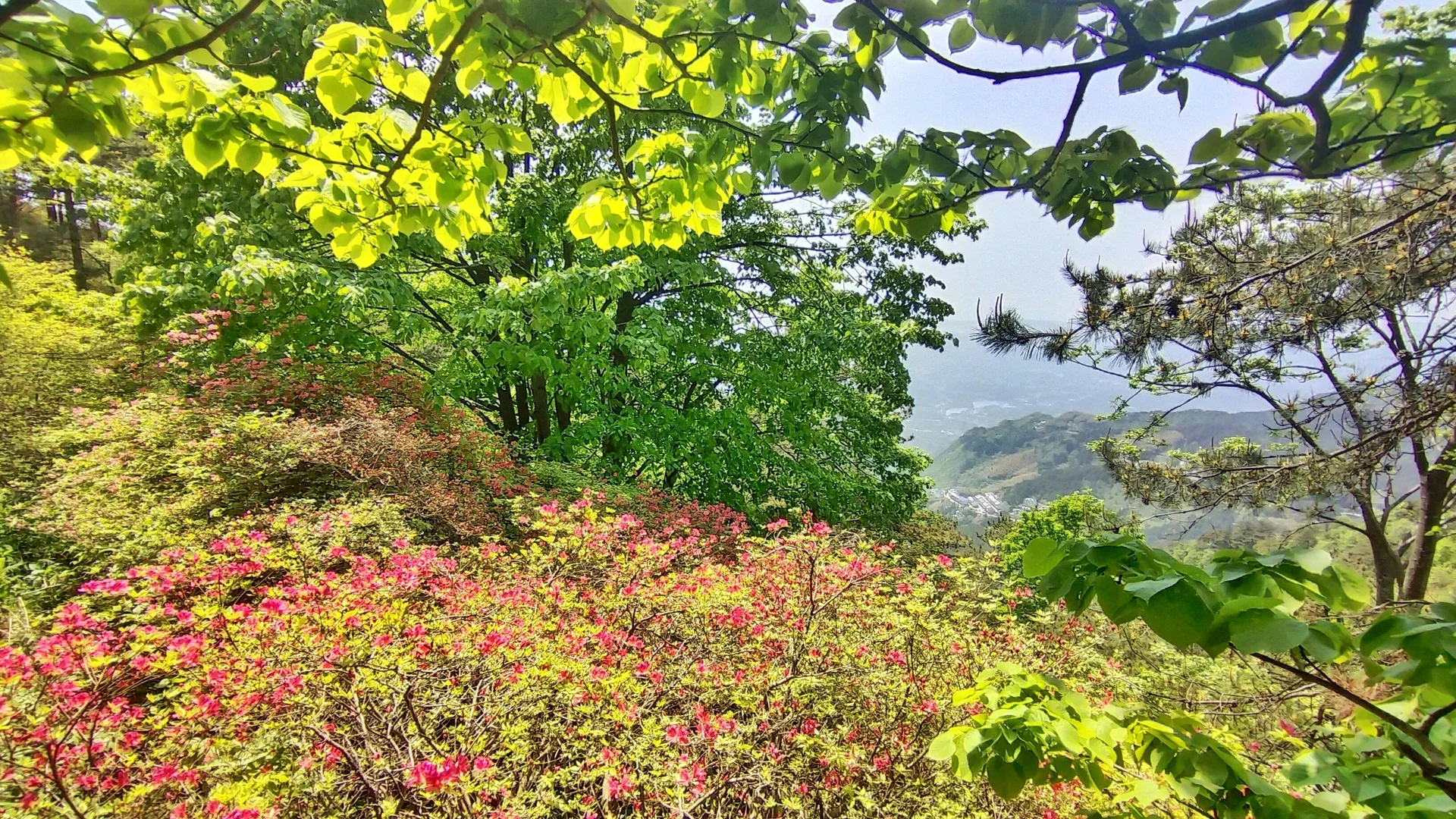Guifeng Mountain, Macheng — reference image