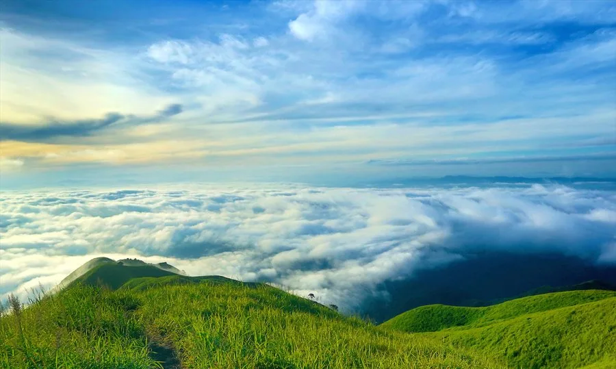 Mount Wugong — reference image