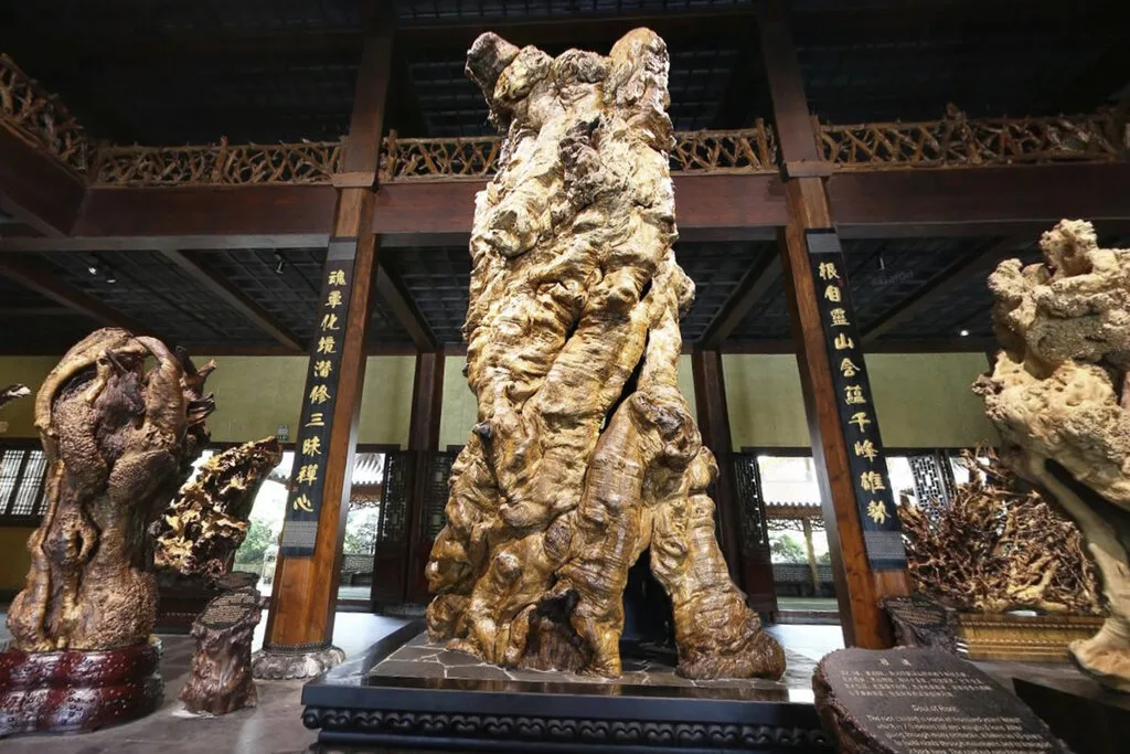 Parco buddhista del Palazzo delle Radici — immagine di riferimento