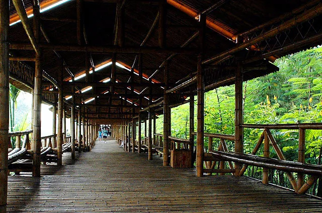 青秀山 — 参考画像