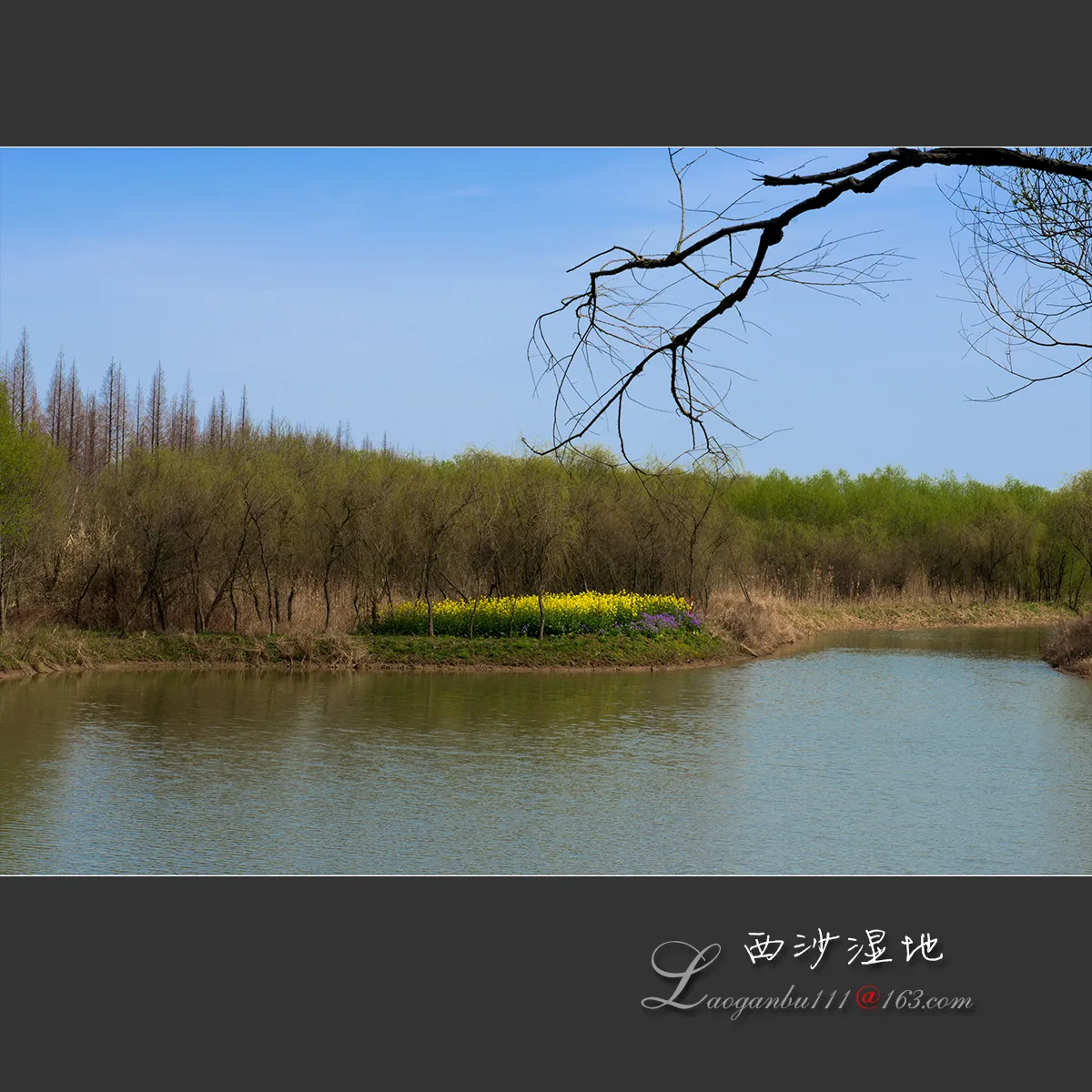 Xisha–Tasik Mingzhu (Tanah Lembap Xisha) — imej rujukan