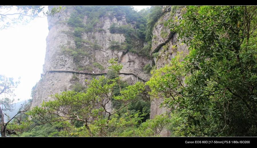 Torrente delle Anatre Mandarine — immagine di riferimento