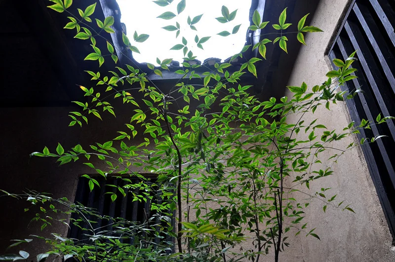 Шаошань — справочное изображение