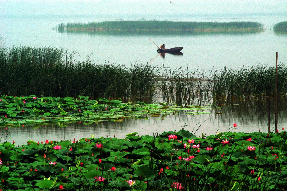 Tasik Hengshui — imej rujukan