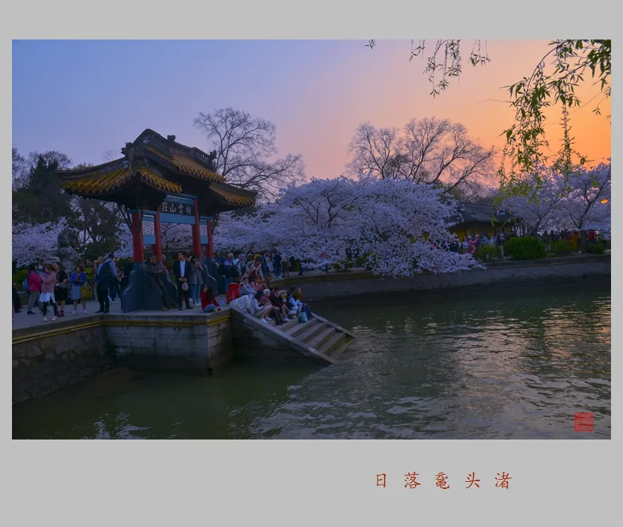 Viên Đầu Chử — ảnh tham khảo