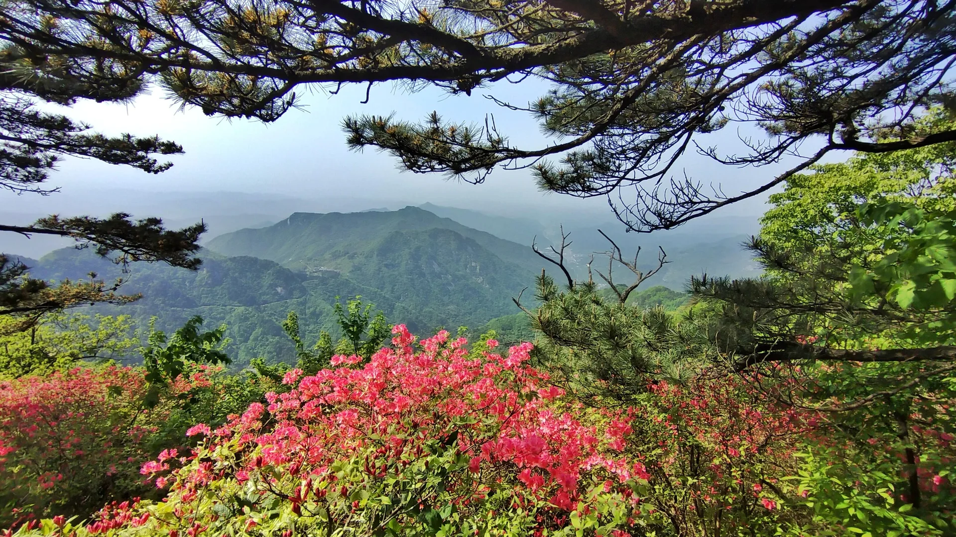 Guifeng Mountain, Macheng — reference image