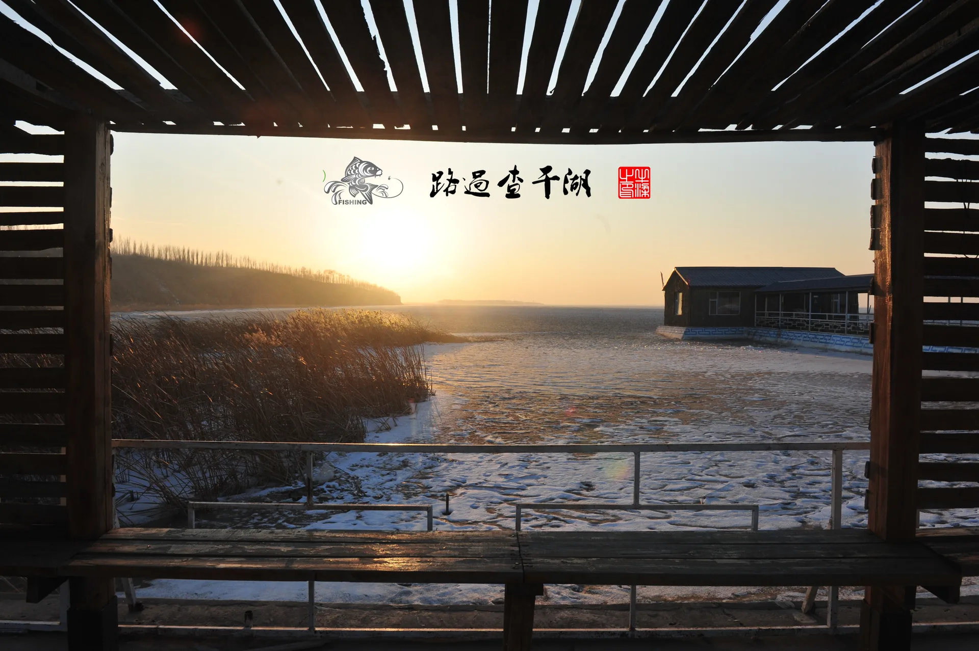 차간호 — 참고 이미지