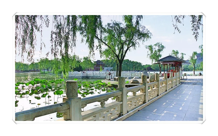 Paradis des Tang — image de référence