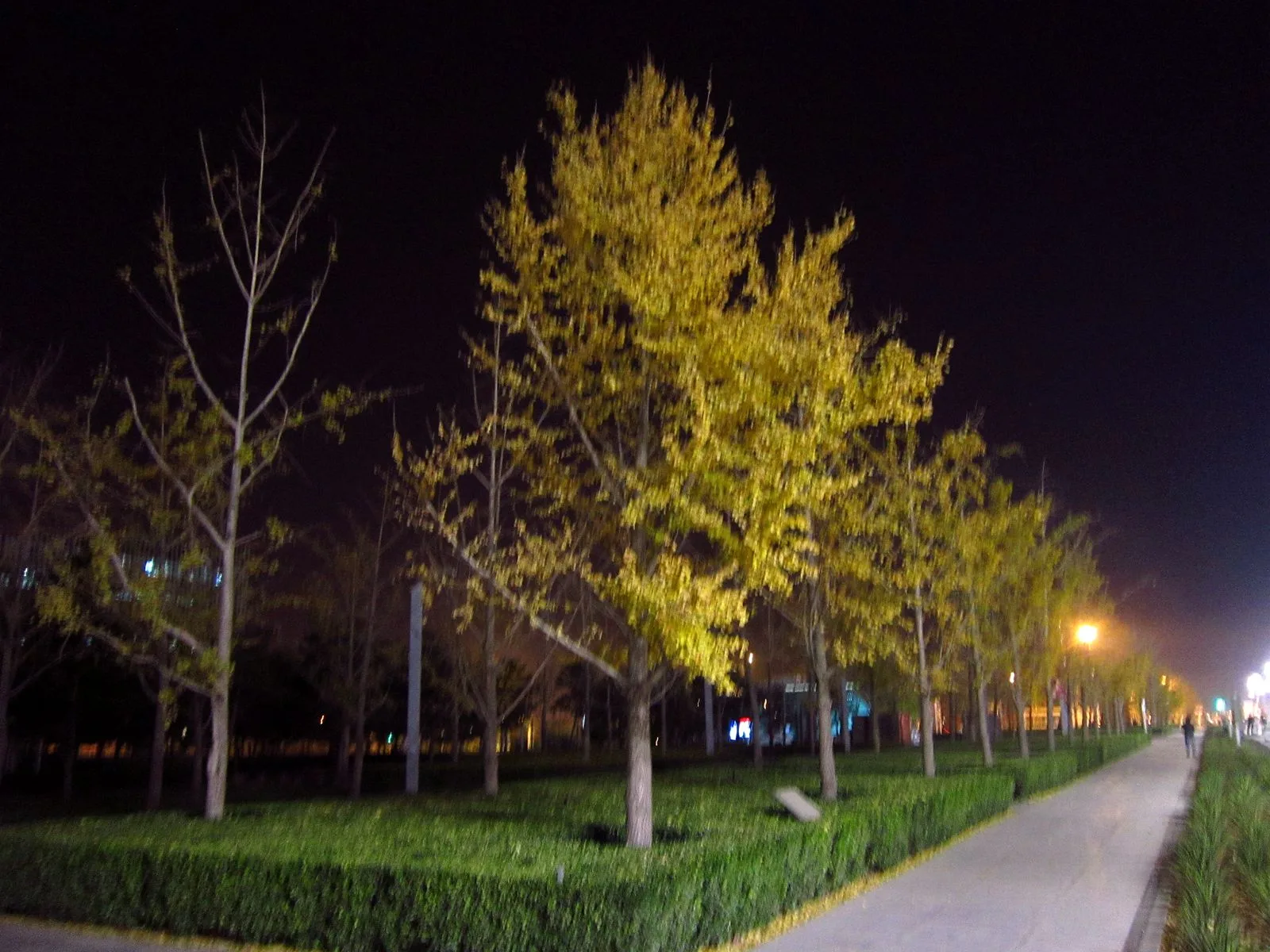 Parque Olímpico de Pekín — imagen de referencia