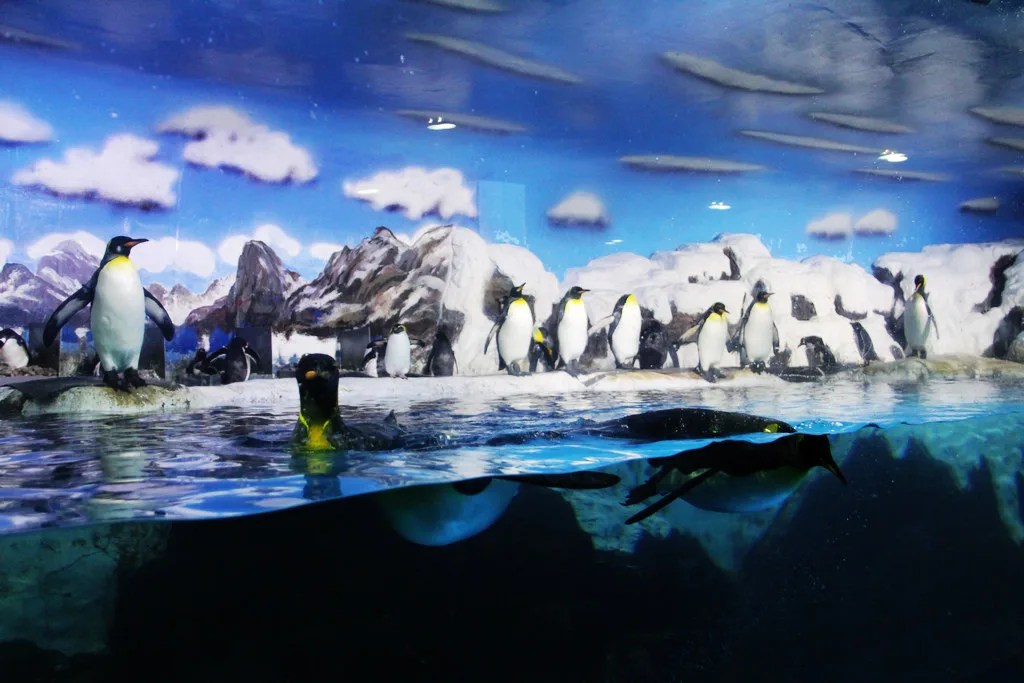 Laohutan Ocean Park — reference image