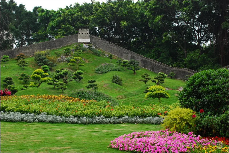 Cẩm Tú Trung Hoa — ảnh tham khảo