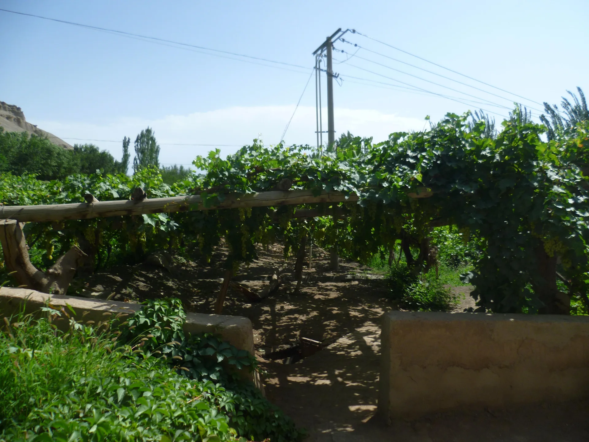 Valle dell’Uva — immagine di riferimento