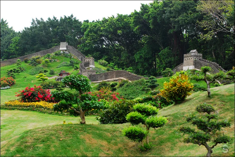 Cẩm Tú Trung Hoa — ảnh tham khảo
