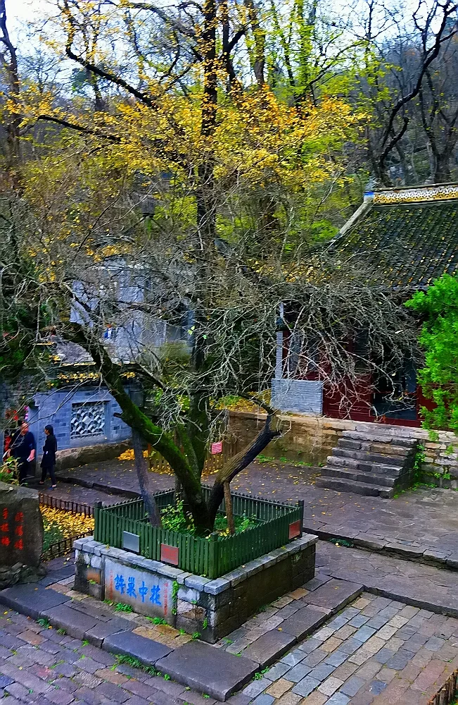 Area paesaggistica del monte Langya — immagine di riferimento
