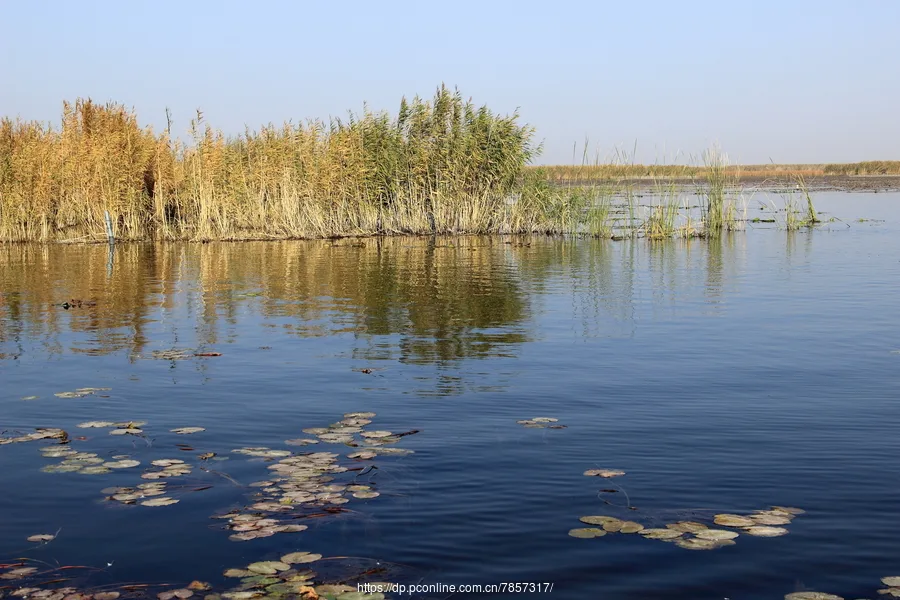 Bosten Lake — reference image