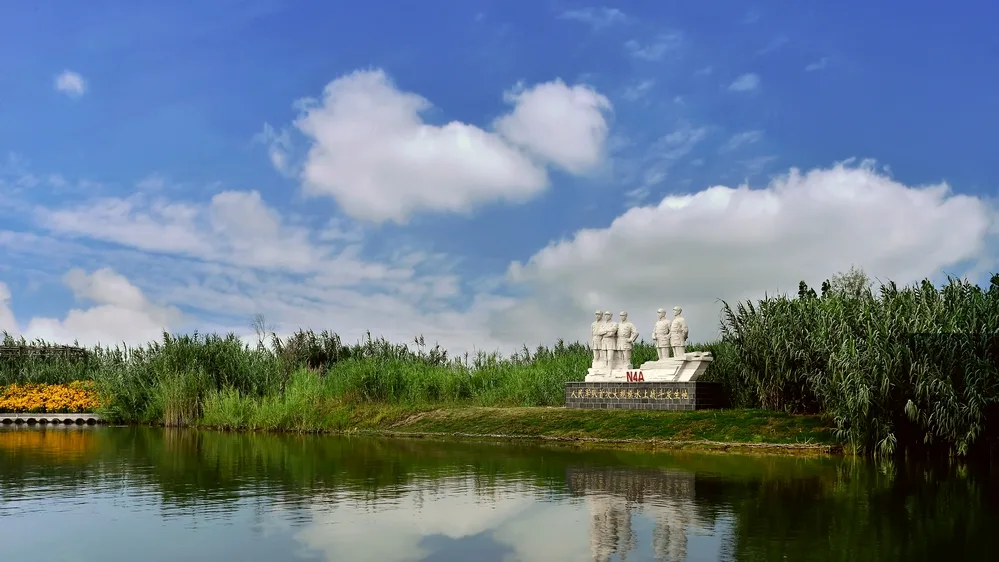 Hongze Lake Wetlands — reference image
