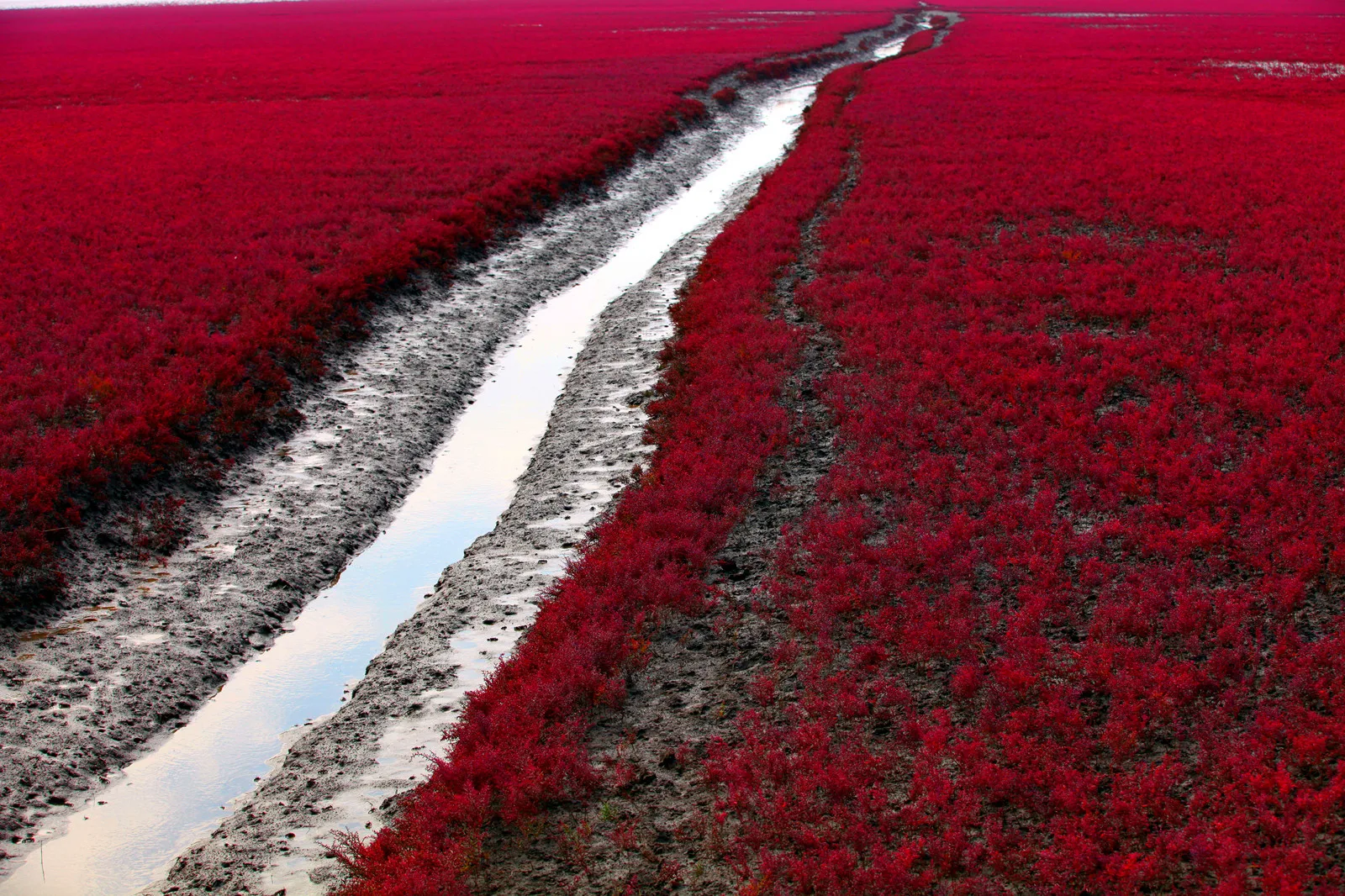 Plage rouge — image de référence