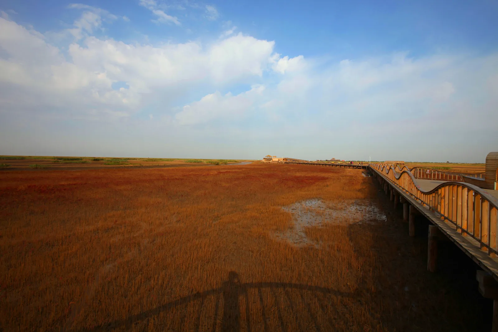 Plage rouge — image de référence