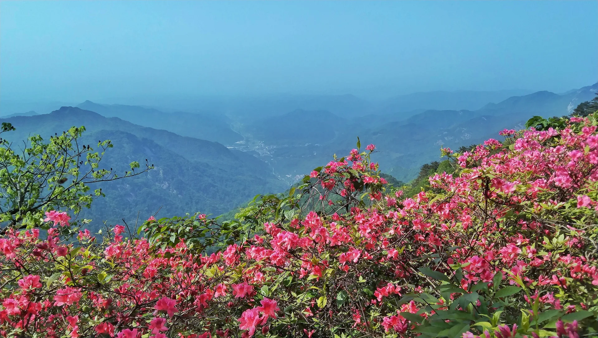 Guifeng Mountain, Macheng — reference image