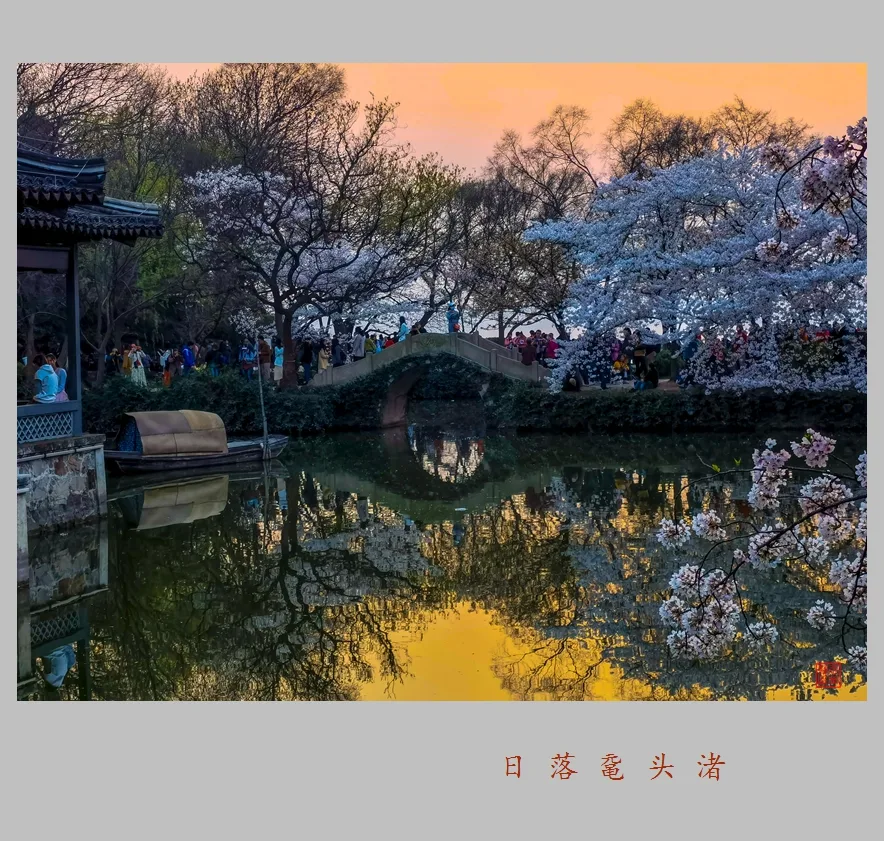 Viên Đầu Chử — ảnh tham khảo