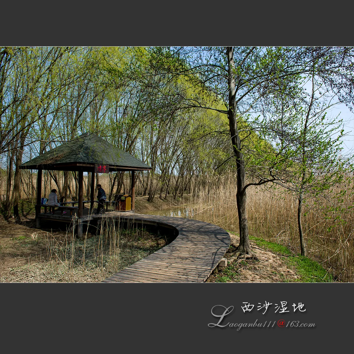 Xisha–Tasik Mingzhu (Tanah Lembap Xisha) — imej rujukan